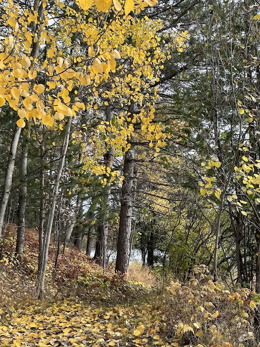 Mesaba Cooperative Park 10
