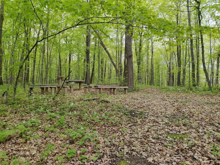 College of Wilderness Knowledge-Birch Bend Camp 3