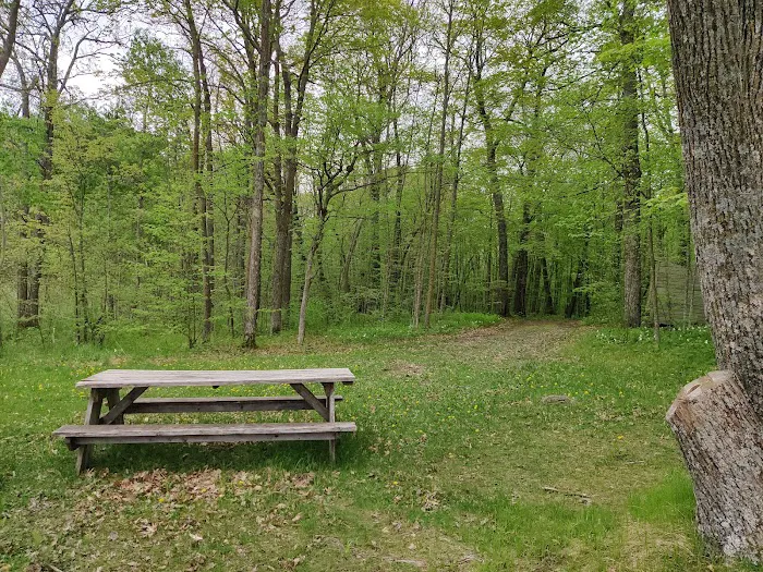 College of Wilderness Knowledge-Birch Bend Camp 4