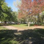 Shady Rest Resort and Campground