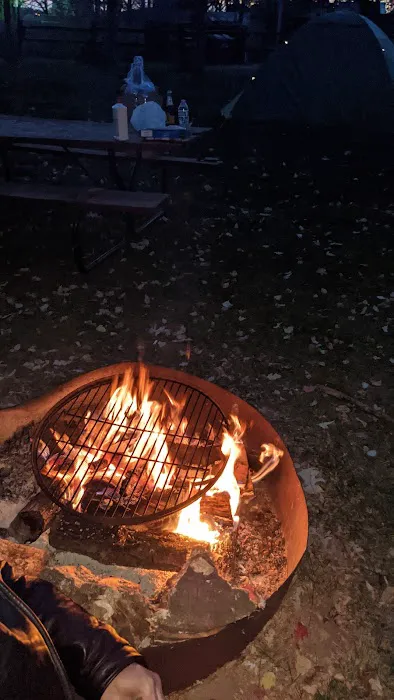 Shady Oaks Campground 10
