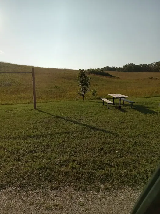 Horse Camp 1