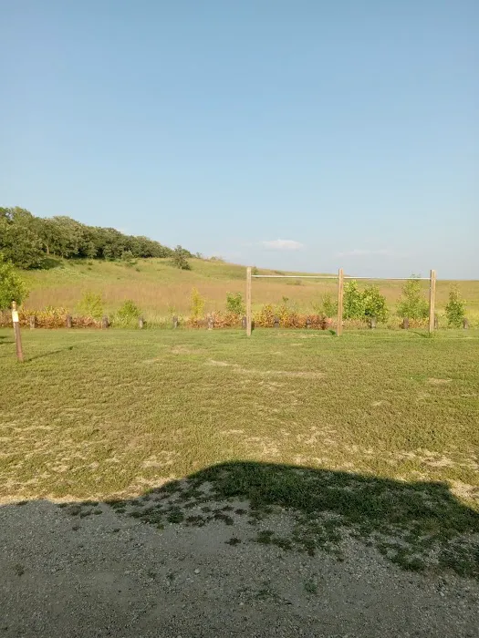 Horse Camp 4
