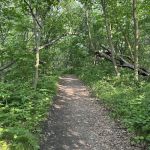 Group Campground