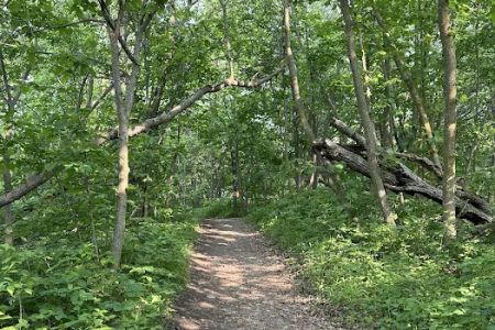 Group Campground