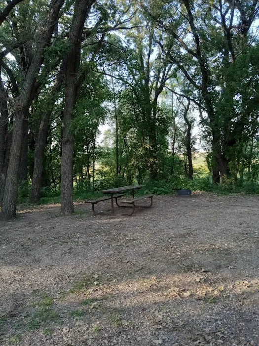 Oakridge Campground 5