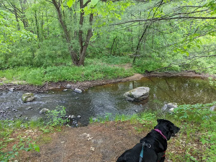 Lindbergh State Park Campground 9