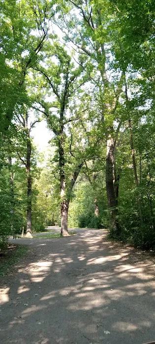 Lindbergh State Park Campground 8