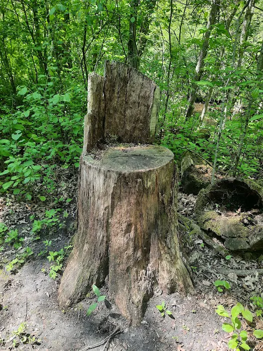 Lindbergh State Park Campground 10