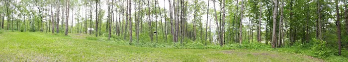 37 Acres RV & Campground 7