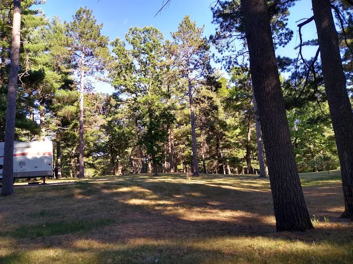 Deparcq Woods Campground 4