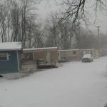 Neighbors Of The Meadows