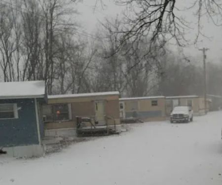 Neighbors Of The Meadows