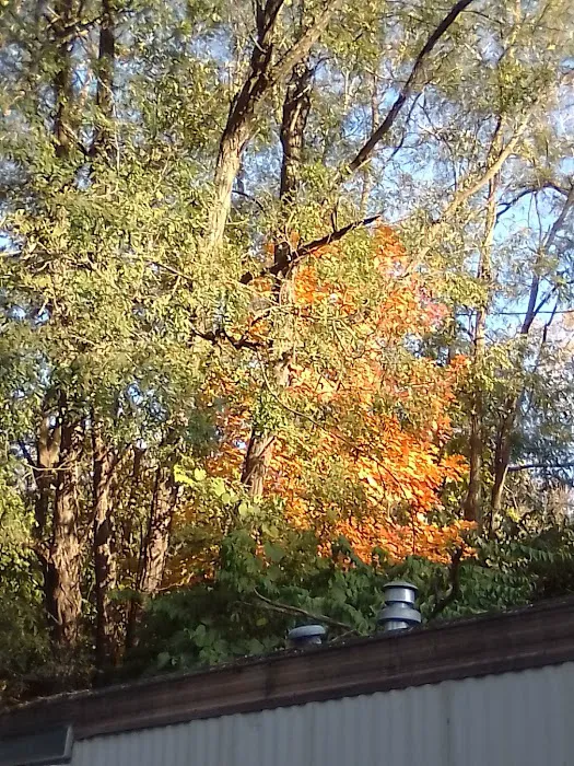 Neighbors Of The Meadows 4