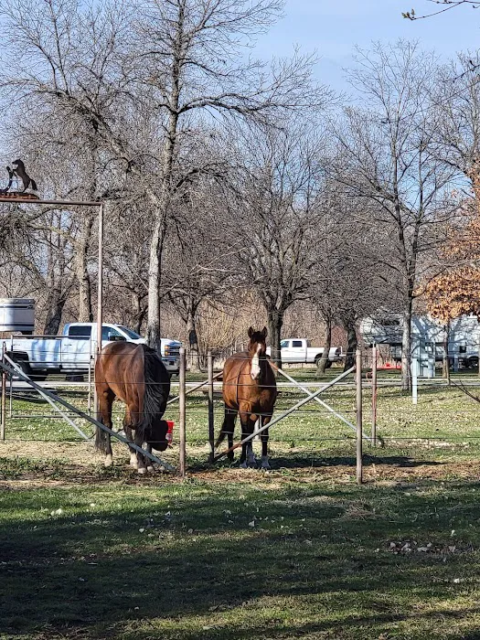 Pawnee Lake Horse Corrals 3