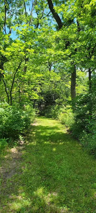 Area Three Campground 6
