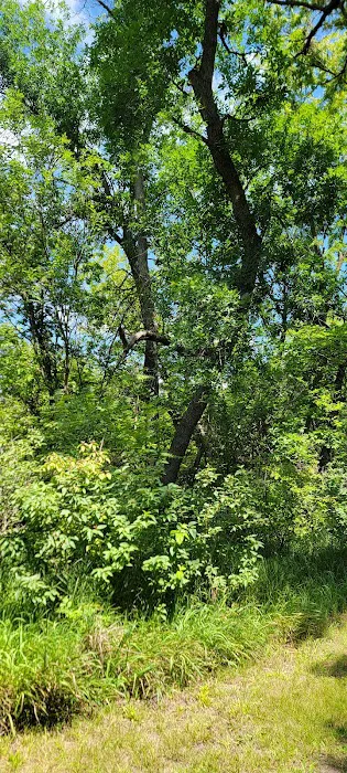 Area Three Campground 3
