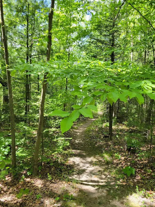 Jewell Lake Campground 2