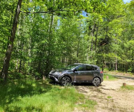 Jewell Lake Campground