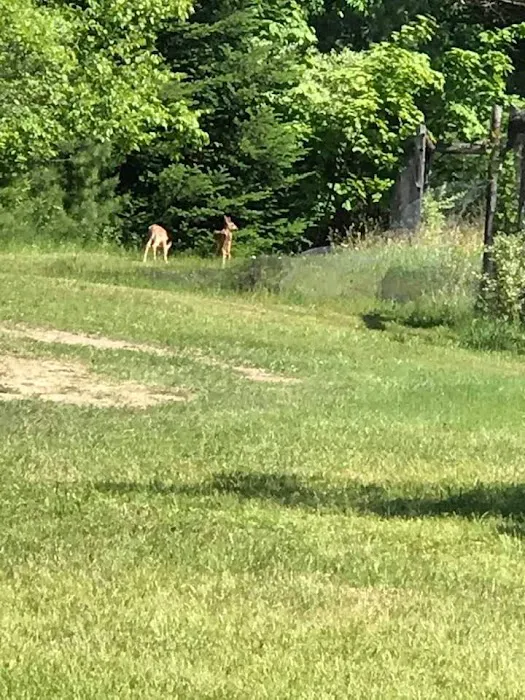 CampDoYaWanna Campground & Party Store 9