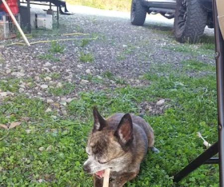 Ernies Acres Campground