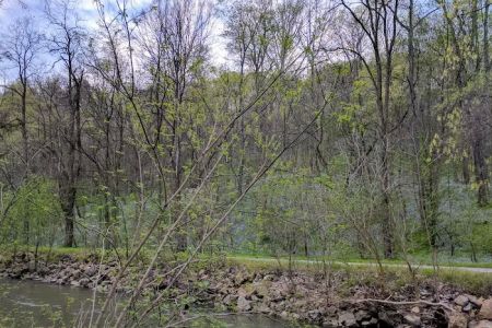 Camp Giscowheco