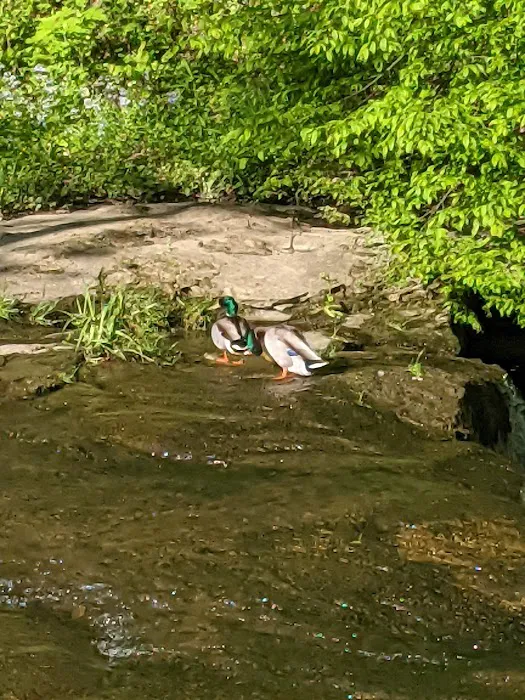 Creekside Camping, L.L.C. 7