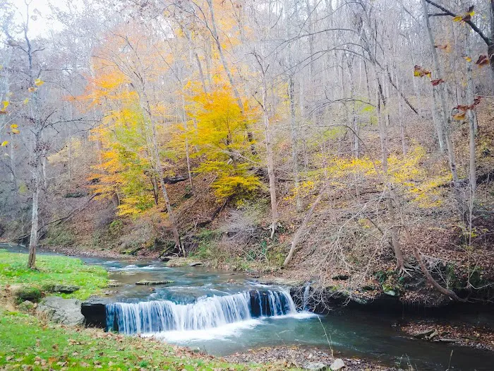Creekside Camping, L.L.C. 2