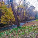 Creekside Camping, L.L.C.