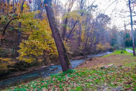 Creekside Camping, L.L.C.