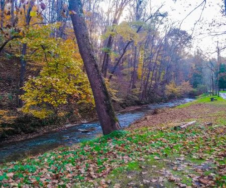 Creekside Camping, L.L.C.