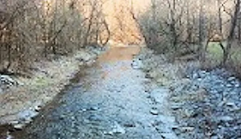 Creekside Camping, L.L.C. 3