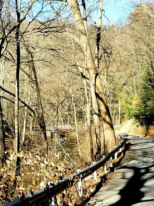 Tomlinson Run State Park 7