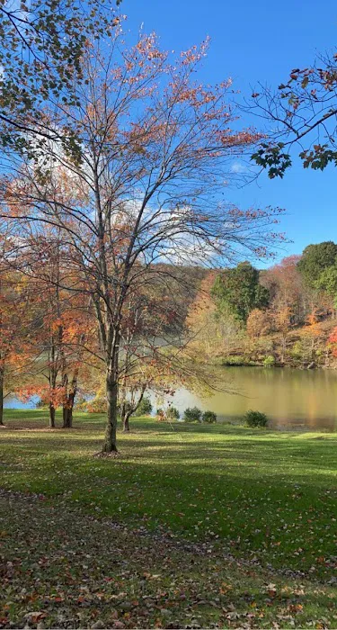 Tomlinson Run State Park 1