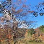 Tomlinson Run State Park