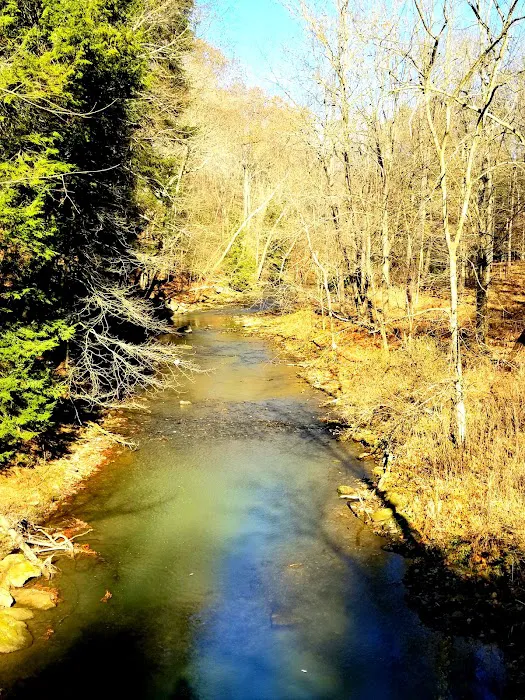 Tomlinson Run State Park 6