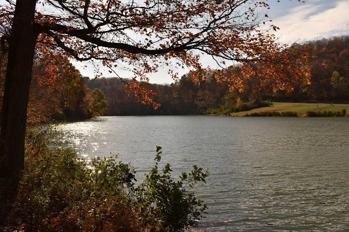 Tomlinson Run State Park 2