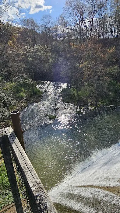 Tomlinson Run State Park 10