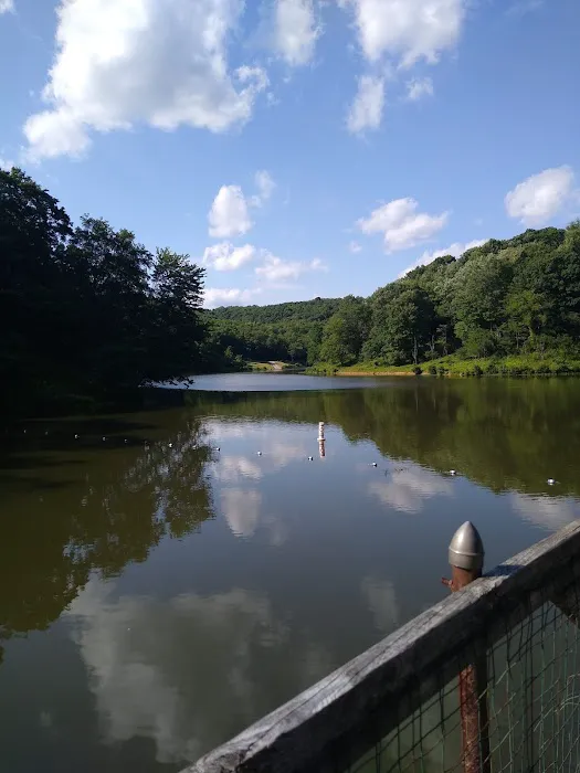 Tomlinson Run State Park Campground 8