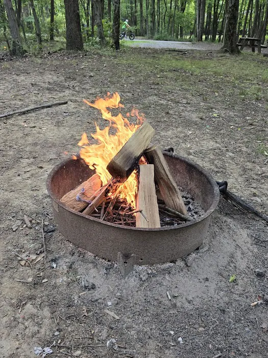 Tomlinson Run State Park Campground 9