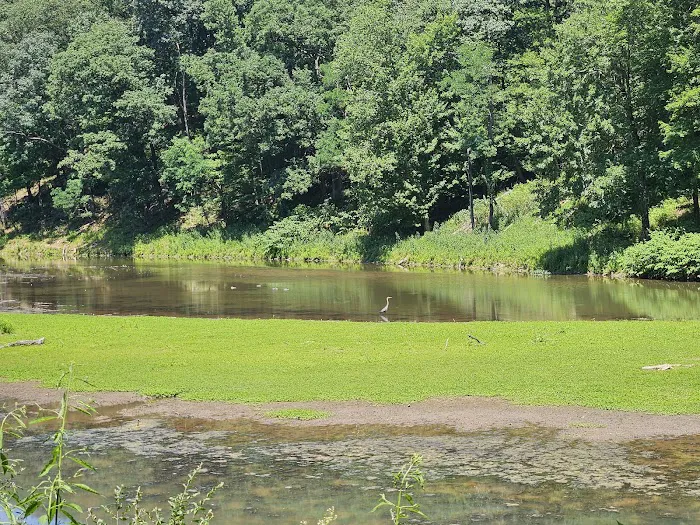 Tomlinson Run State Park Campground 7