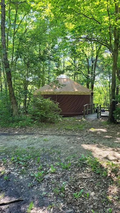 Tomlinson Run State Park Campground 3