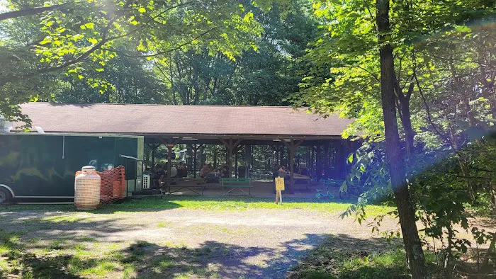 Tomlinson Run State Park Campground 6