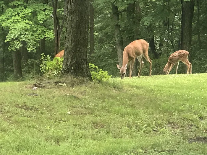 Raccoon Creek State Park Campground 2