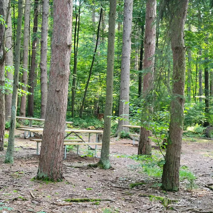 Raccoon Creek State Park Campground 6