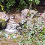 Maier family camp and market LLC.