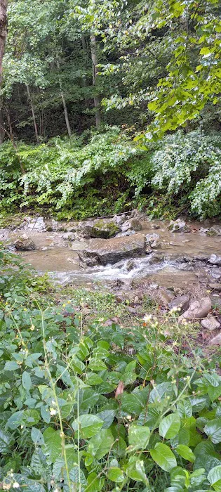 Maier family camp and market LLC. 10