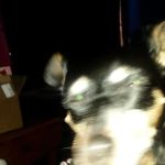 Echo Valley Campground