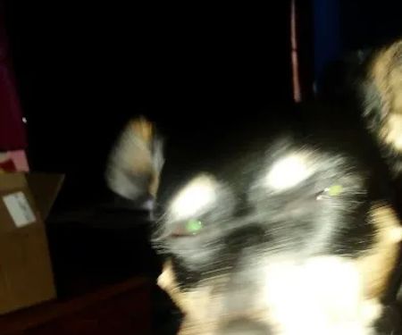 Echo Valley Campground