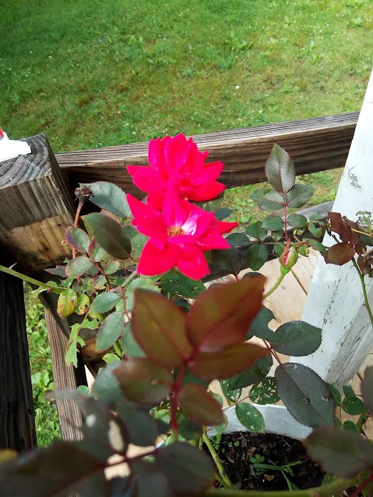 Deerfield Mobile Home Park 1